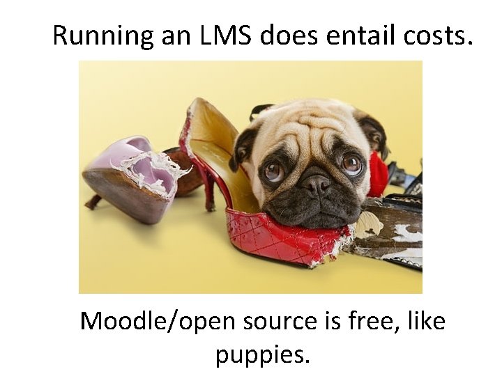 Running an LMS does entail costs. Moodle/open source is free, like puppies. 