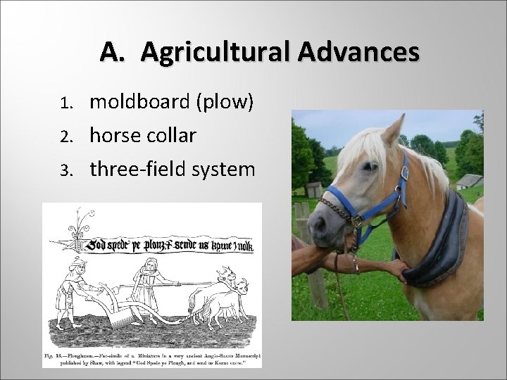 A. Agricultural Advances 1. moldboard (plow) 2. horse collar 3. three-field system 