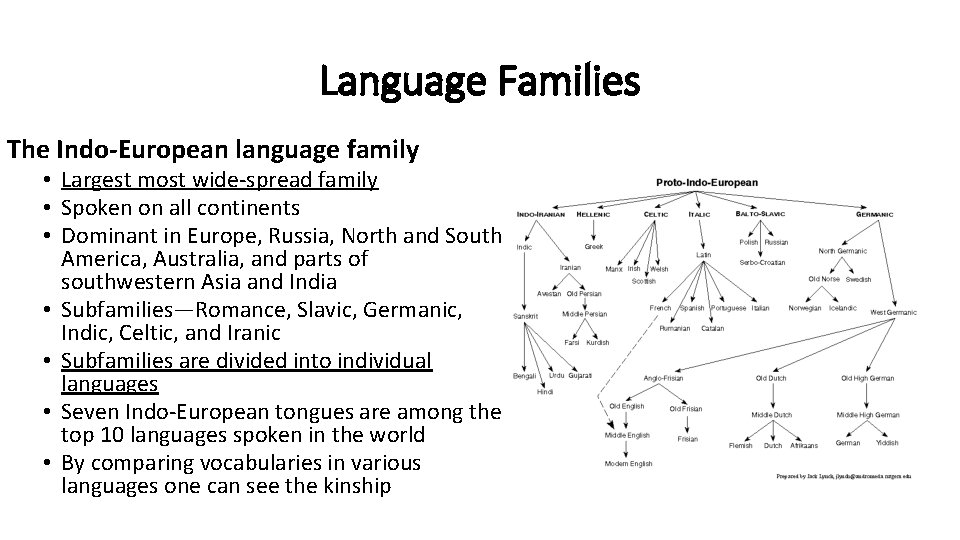 Language Families The Indo-European language family • Largest most wide-spread family • Spoken on