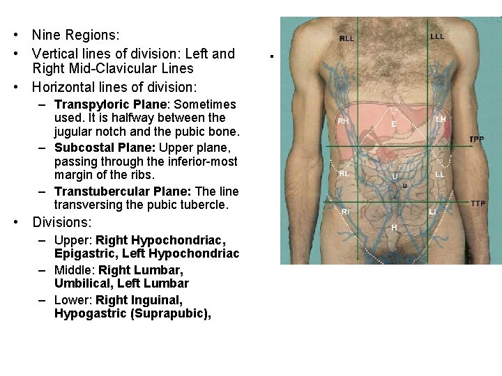  • Nine Regions: • Vertical lines of division: Left and Right Mid-Clavicular Lines