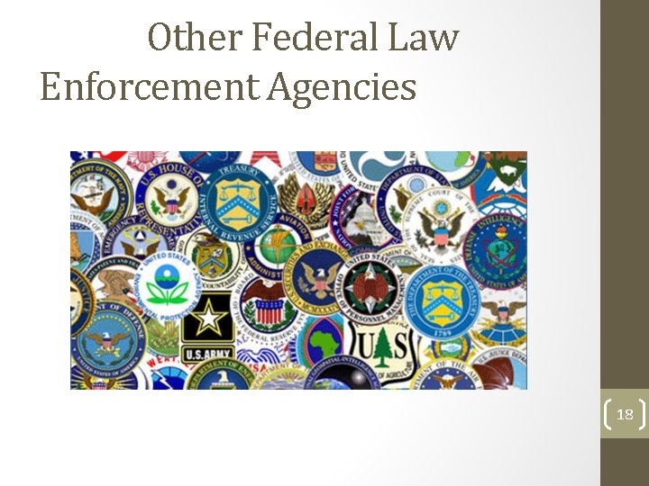 Other Federal Law Enforcement Agencies 18 