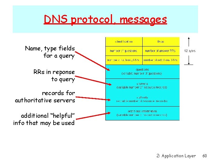 DNS protocol, messages Name, type fields for a query RRs in reponse to query