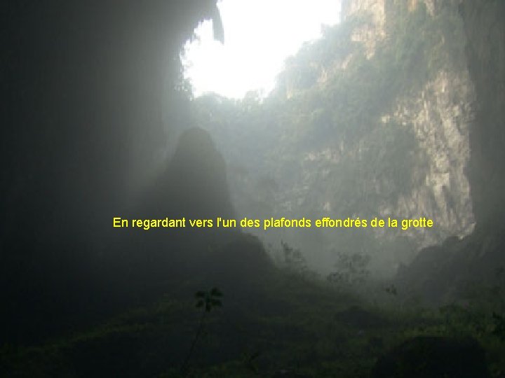 En regardant vers l'un des plafonds effondrés de la grotte 