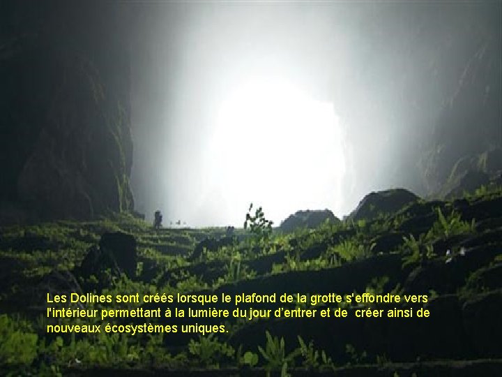 Les Dolines sont créés lorsque le plafond de la grotte s'effondre vers l'intérieur permettant