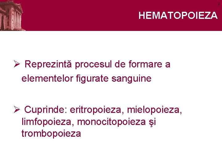 2 HEMATOPOIEZA Ø Reprezintă procesul de formare a elementelor figurate sanguine Ø Cuprinde: eritropoieza,