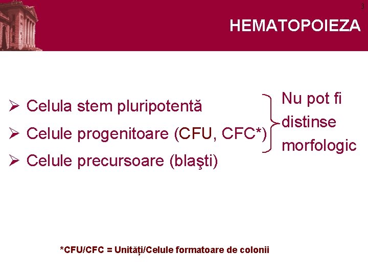 3 HEMATOPOIEZA Nu pot fi Ø Celula stem pluripotentă distinse Ø Celule progenitoare (CFU,