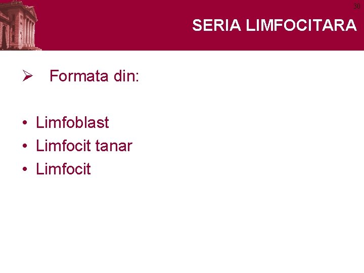 30 SERIA LIMFOCITARA Ø Formata din: • Limfoblast • Limfocit tanar • Limfocit 