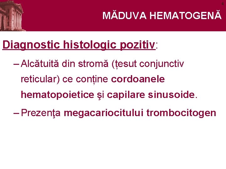 4 MĂDUVA HEMATOGENĂ Diagnostic histologic pozitiv: – Alcătuită din stromă (țesut conjunctiv reticular) ce