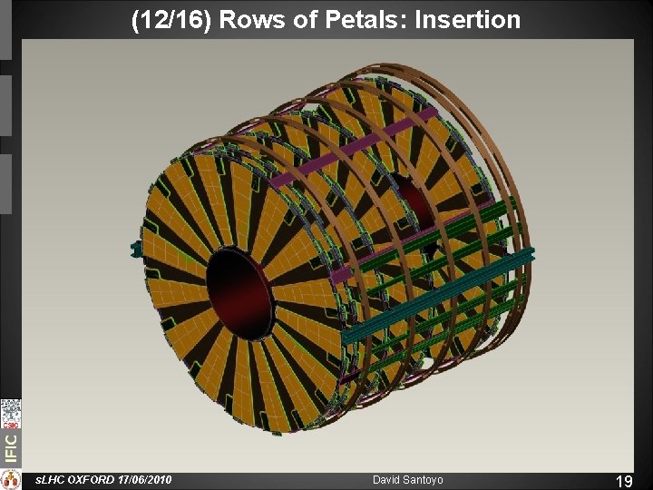 (12/16) Rows of Petals: Insertion s. LHC OXFORD 17/06/2010 David Santoyo 19 