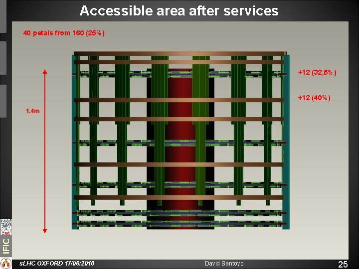 Accessible area after services 40 petals from 160 (25%) +12 (32, 5%) +12 (40%)