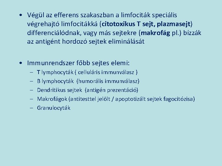  • Végül az efferens szakaszban a limfociták speciális végrehajtó limfocitákká (citotoxikus T sejt,