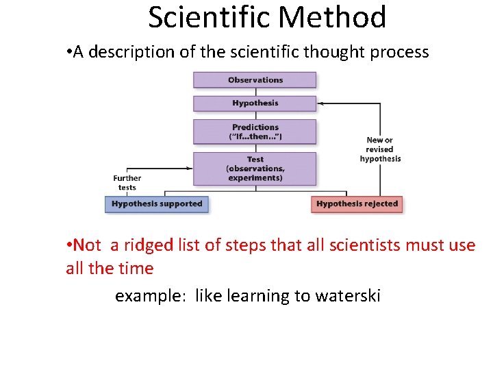 Scientific Method • A description of the scientific thought process • Not a ridged