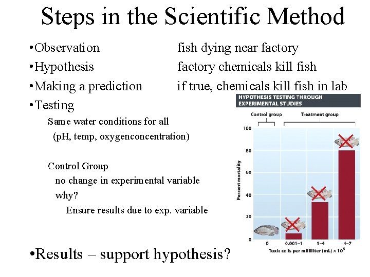 Steps in the Scientific Method • Observation • Hypothesis • Making a prediction •