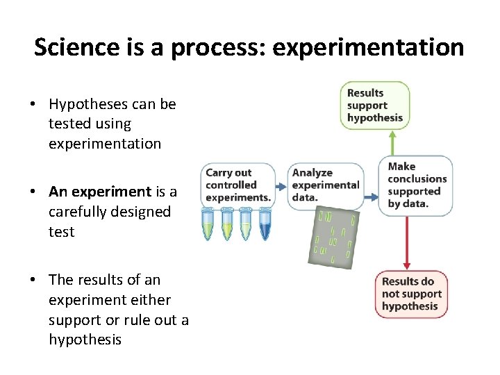 Science is a process: experimentation • Hypotheses can be tested using experimentation • An