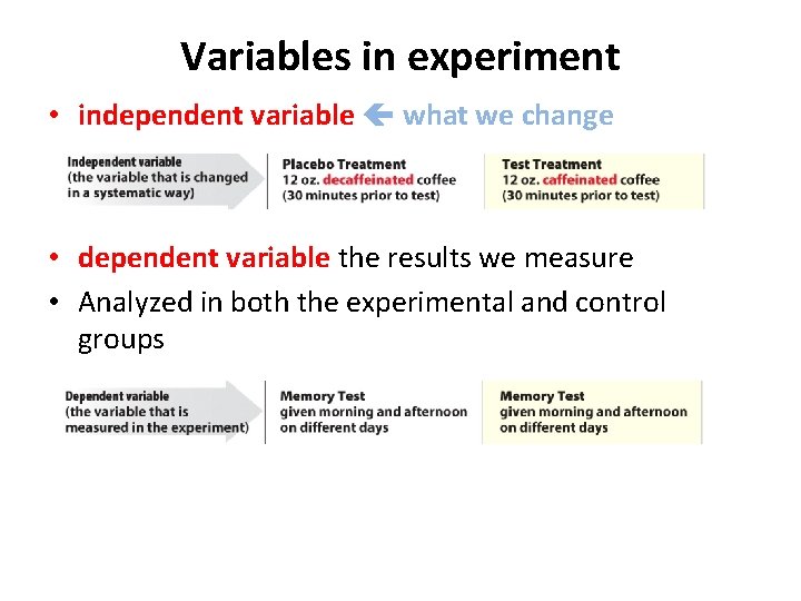Variables in experiment • independent variable what we change • dependent variable the results