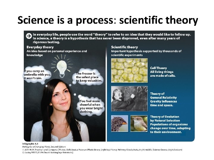 Science is a process: scientific theory 