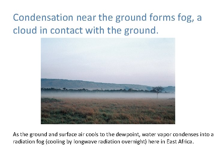 Condensation near the ground forms fog, a cloud in contact with the ground. As