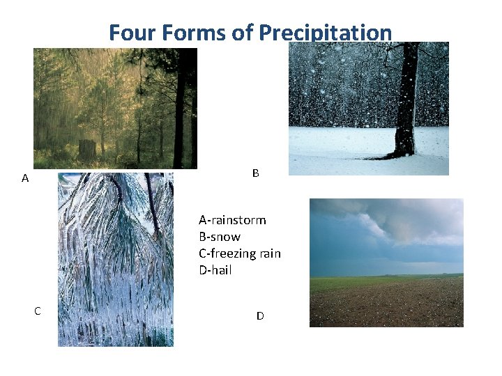 Four Forms of Precipitation B A A-rainstorm B-snow C-freezing rain D-hail C D Four Forms of Precipitation B A A-rainstorm B-snow C-freezing rain D-hail C D