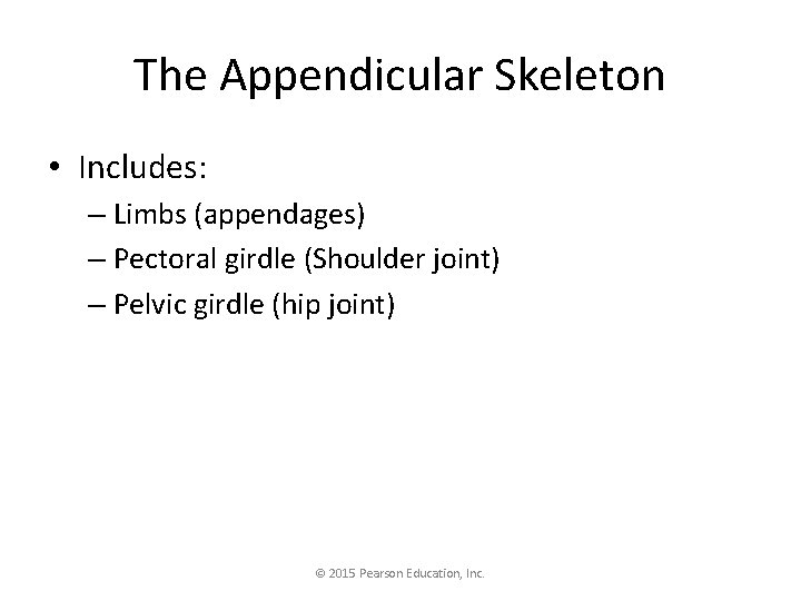 The Appendicular Skeleton • Includes: – Limbs (appendages) – Pectoral girdle (Shoulder joint) –