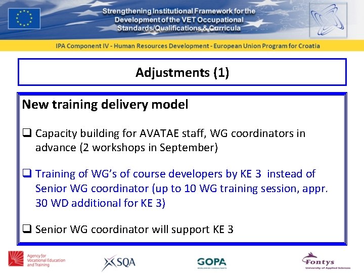 Adjustments (1) New training delivery model q Capacity building for AVATAE staff, WG coordinators