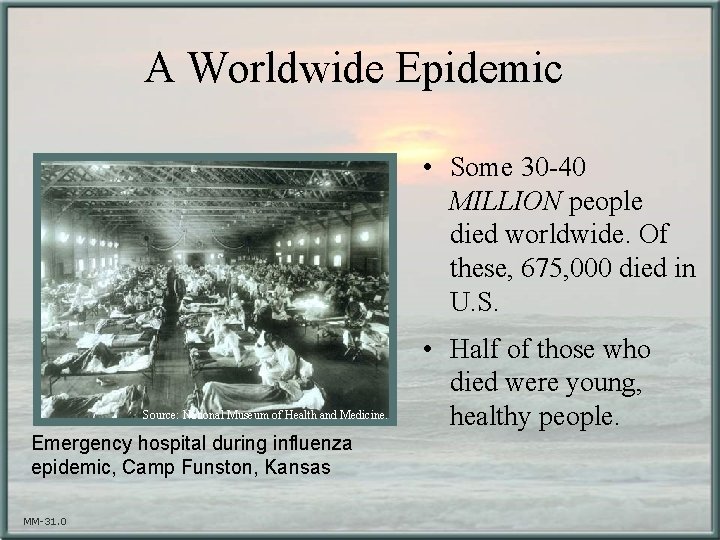 A Worldwide Epidemic • Some 30 -40 MILLION people died worldwide. Of these, 675,