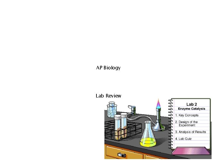 AP Biology Lab Review 