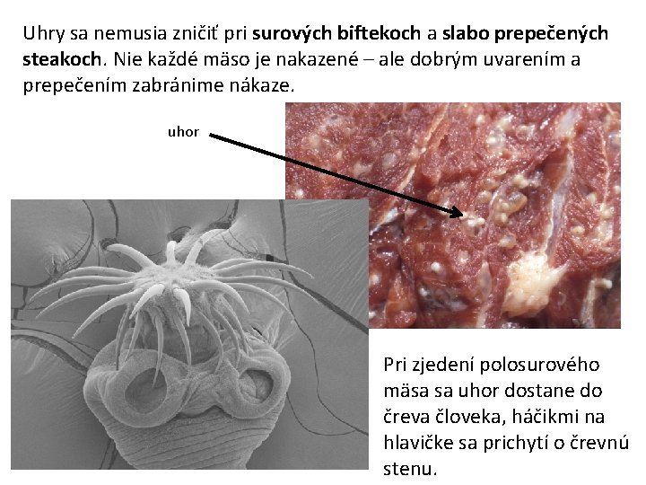 Uhry sa nemusia zničiť pri surových biftekoch a slabo prepečených steakoch. Nie každé mäso