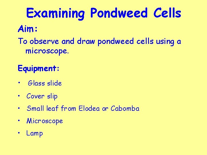 Examining Pondweed Cells Aim: To observe and draw pondweed cells using a microscope. Equipment: