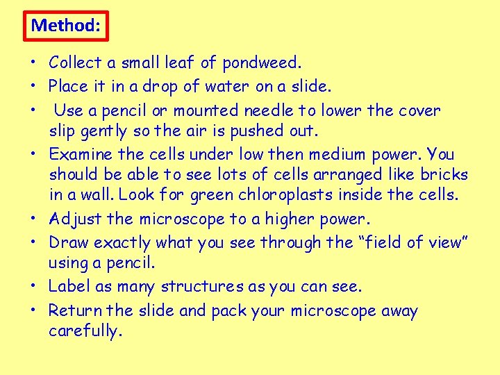 Method: • Collect a small leaf of pondweed. • Place it in a drop