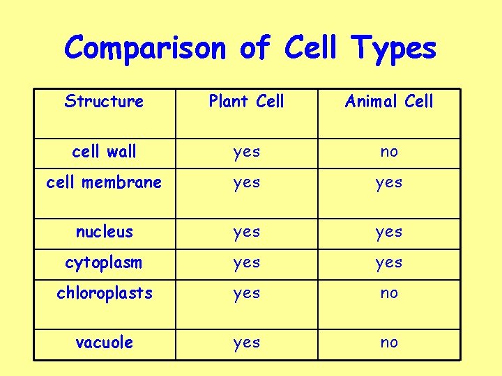 Comparison of Cell Types Structure Plant Cell Animal Cell cell wall yes no cell