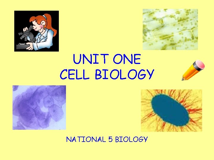 UNIT ONE CELL BIOLOGY NATIONAL 5 BIOLOGY 