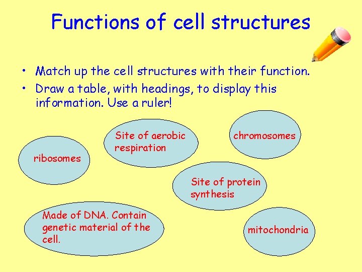 Functions of cell structures • Match up the cell structures with their function. •