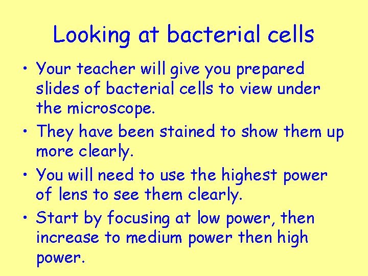 Looking at bacterial cells • Your teacher will give you prepared slides of bacterial