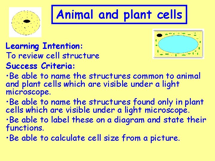Animal and plant cells Learning Intention: To review cell structure Success Criteria: • Be
