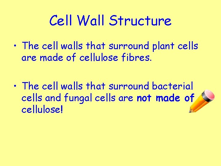 Cell Wall Structure • The cell walls that surround plant cells are made of