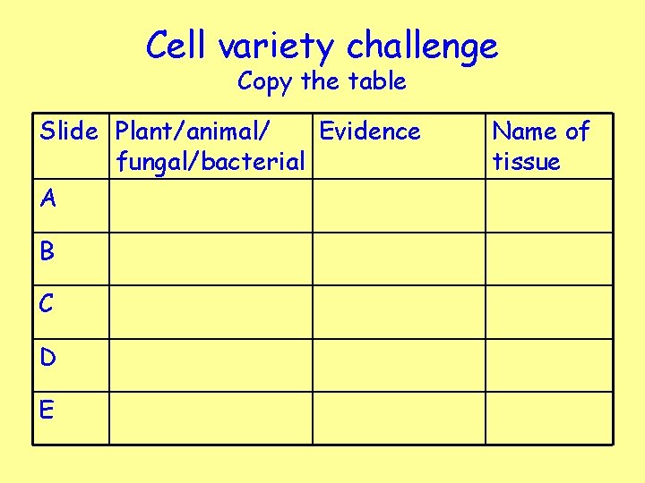Cell variety challenge Copy the table Slide Plant/animal/ Evidence fungal/bacterial A B C D