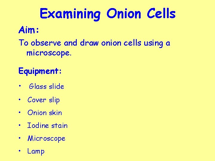 Examining Onion Cells Aim: To observe and draw onion cells using a microscope. Equipment: