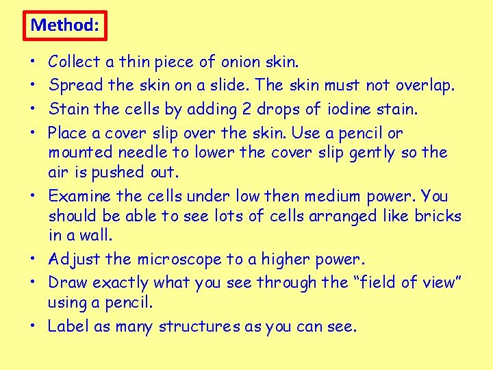 Method: • • Collect a thin piece of onion skin. Spread the skin on