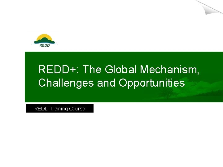 REDD+: The Global Mechanism, Challenges and Opportunities REDD Training Course 