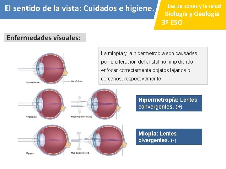 Las personas y la salud El sentido de la vista: Cuidados e higiene. Biología