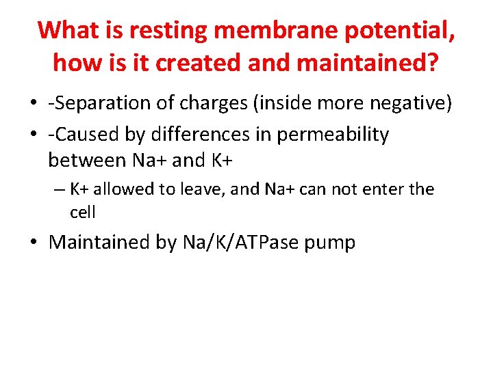 What is resting membrane potential, how is it created and maintained? • -Separation of