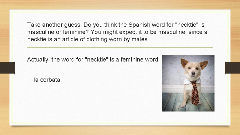 Take another guess. Do you think the Spanish word for "necktie" is masculine or