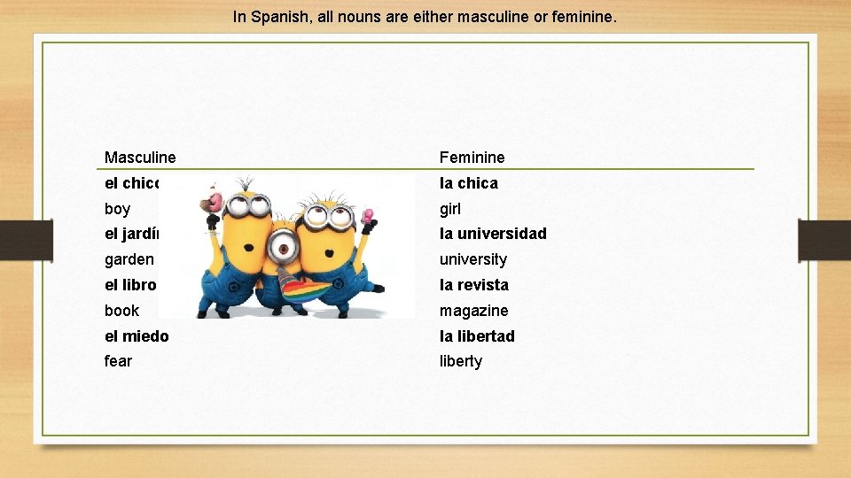 In Spanish, all nouns are either masculine or feminine. Masculine Feminine el chico la