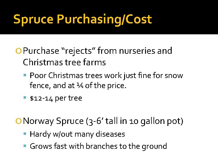 Spruce Purchasing/Cost Purchase “rejects” from nurseries and Christmas tree farms Poor Christmas trees work