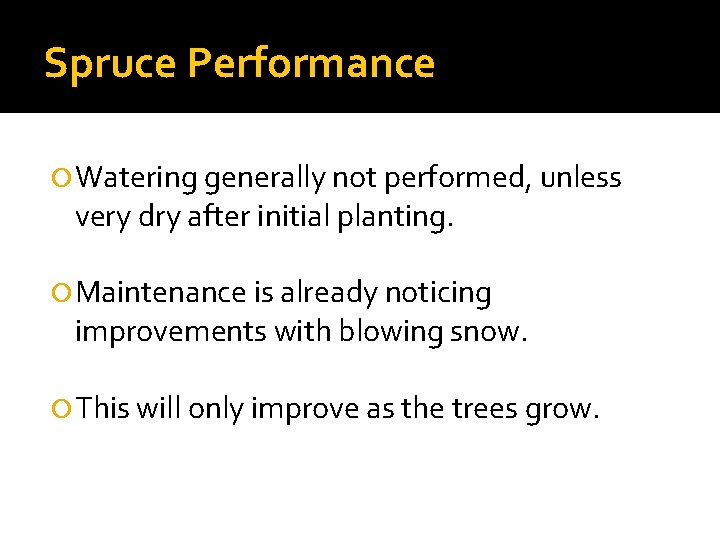 Spruce Performance Watering generally not performed, unless very dry after initial planting. Maintenance is
