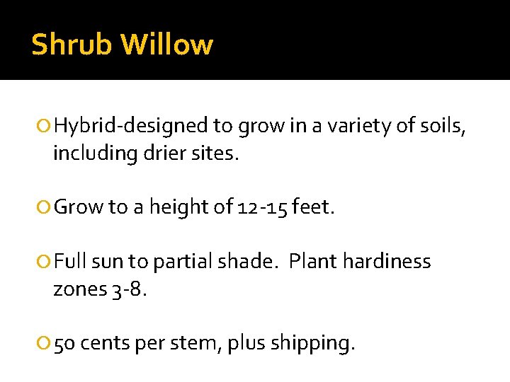 Shrub Willow Hybrid-designed to grow in a variety of soils, including drier sites. Grow