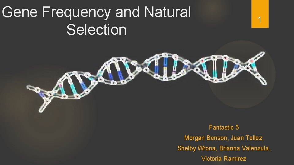 Gene Frequency and Natural Selection 1 Fantastic 5 Morgan Benson, Juan Tellez, Shelby Wrona,