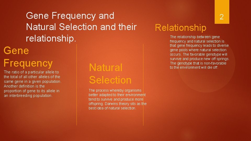 Gene Frequency and Natural Selection and their relationship. Gene Frequency The ratio of a