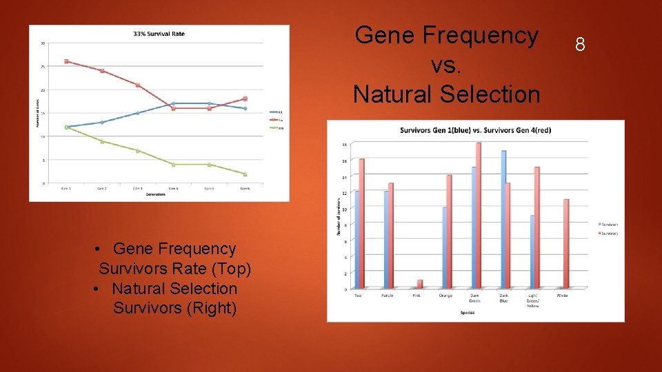 Gene Frequency vs. Natural Selection • Gene Frequency Survivors Rate (Top) • Natural Selection