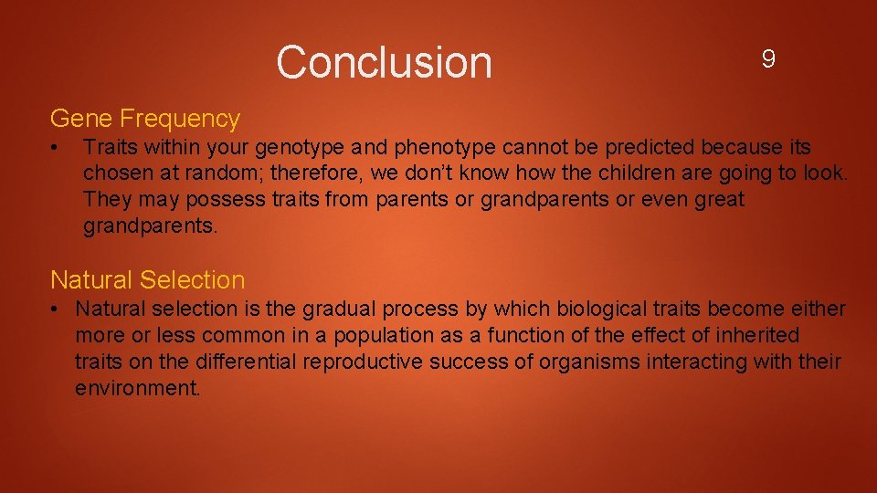 Conclusion 9 Gene Frequency • Traits within your genotype and phenotype cannot be predicted